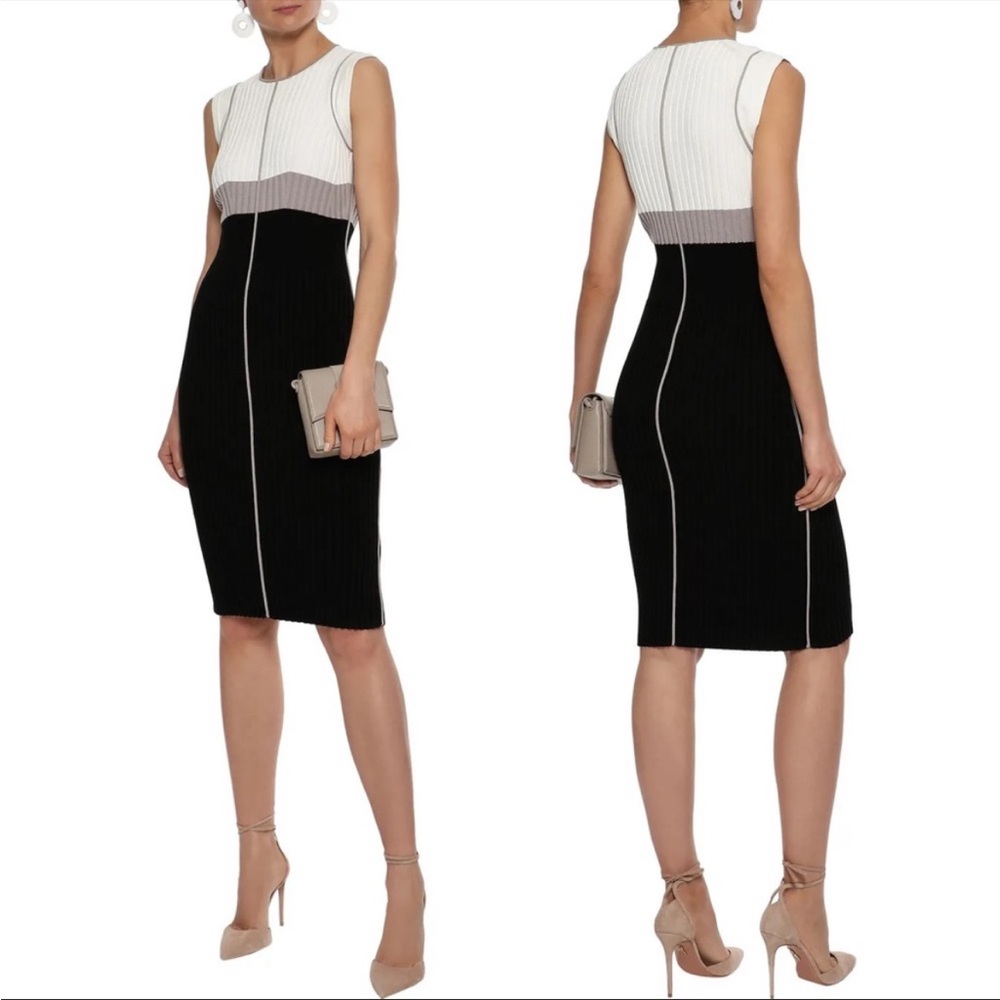 Narciso Rodriguez Color Block Ribbed Knit Dress